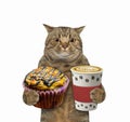 Cat holds orange cupcake and coffee 2