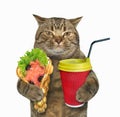 Cat with soft waffles and coffee Royalty Free Stock Photo