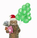 Cat holds piggy bank and balloons 2024