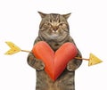 Cat with a sausage heart 3 Royalty Free Stock Photo