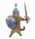 Cat holds a shield and a sword