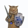 Cat holds a shield and a sword 2