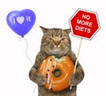 Cat holds a sign and a apricot donut