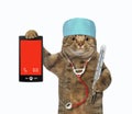 Cat holds thermometer and smartphone Royalty Free Stock Photo