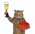 Cat holds white wine and red caviar Royalty Free Stock Photo