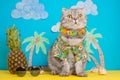 A cat on holiday in a Hawaiian shirt with pineapples. On the beach with malma. A concept of rest, relaxation, vacation Royalty Free Stock Photo