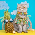 A cat on holiday in a Hawaiian shirt with pineapples. On the beach with malma. A concept of rest, relaxation, vacation Royalty Free Stock Photo