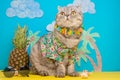 A cat on holiday in a Hawaiian shirt with pineapples. On the beach with malma. A concept of rest, relaxation, vacation Royalty Free Stock Photo