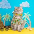 A cat on holiday in a Hawaiian shirt with pineapples. On the beach with malma. A concept of rest, relaxation, vacation Royalty Free Stock Photo