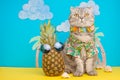 A cat on holiday in a Hawaiian shirt with pineapples. On the beach with malma. A concept of rest, relaxation, vacation Royalty Free Stock Photo