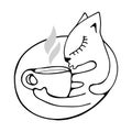 The cat hugs a cup of fragrant coffee, tea or cocoa.