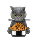 Cat is hungry and keeps food and fork Royalty Free Stock Photo