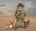 Cat hunter with dog 3 Royalty Free Stock Photo