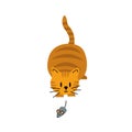 Cat is hunting the mouse. Kitten. Flat, cartoon, vector