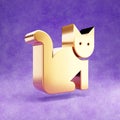 Cat icon. Gold glossy Cat symbol isolated on violet velvet background.