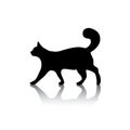 Cat icon symbol on white Royalty Free Stock Photo