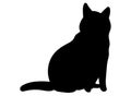 Cat Icon. Wildlife Silhouette Illustration As A Simple Vector Sign