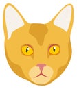 Cat icon. Yellow pet face. Kitten head