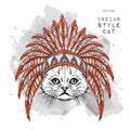 Cat in the Indian roach. Indian feather headdress of eagle. Hand draw vector illustration Royalty Free Stock Photo