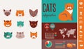 Cat infographics with vector icons set Royalty Free Stock Photo