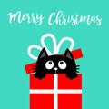 Cat inside giftbox with bow. Merry Christmas card. Cute cartoon kawaii funny animal. Kitten looking up. Kitty holding gift present Royalty Free Stock Photo
