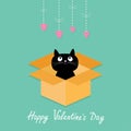 Cat inside opened cardboard package box. Hanging hearts. Happy Valentines day card Flat design style.