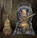 Cat on the iron throne in a castle Royalty Free Stock Photo