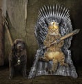 Cat on the iron throne and a dog 2 Royalty Free Stock Photo