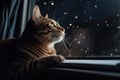 cat with its head out of window, enjoying the view of the stars and planets