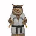 Cat karate fighter with nunchuck 3 Royalty Free Stock Photo