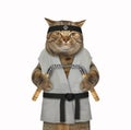 Cat karate fighter with nunchuck 4 Royalty Free Stock Photo