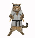 Cat karate fighter with nunchuck Royalty Free Stock Photo