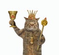 Cat king with goblet and scepter