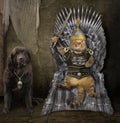 Cat in armor on the iron throne with a dog Royalty Free Stock Photo