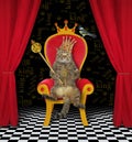 Cat king with scepter on throne Royalty Free Stock Photo