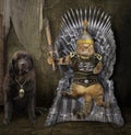 Cat on the iron throne and a dog Royalty Free Stock Photo