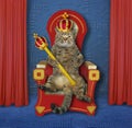 Cat king on the throne 2 Royalty Free Stock Photo