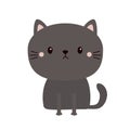 Cat kitten kitty sitting. Round face icon. Cute cartoon kawaii pet baby animal character. Funny baby. Meow. Love greeting card.