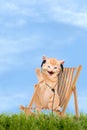 Cat / kitten sitting in deck chair with headphones