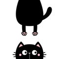 Cat kitten sticker. Funny face head silhouette. Hanging fat body paw print, tail. Kawaii animal. Baby card. Notebook cover. Cute