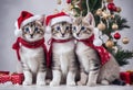 Cat kittens in Christmas costumes. Cute cats Christmas background. Festive Christmas background. Digital AI.