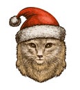 Cat, kitty in a Christmas hat. Sketch vintage vector illustration