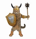 Cat knight with a mace Royalty Free Stock Photo