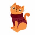 Cat in a knitted sweater. Cute kitten character. Mascot of goods for pets. Knitwear for cats.