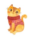 Cat in a knitted sweater. Cute kitten character. Mascot of goods for pets.