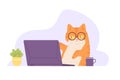 Cat laptop. Serious kitten in glasses keyboard work notebook with cofee, funny adorable animal computer worker hacker