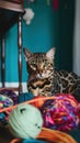A cat laying on top of a pile of yarn. AI generative image. Royalty Free Stock Photo