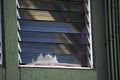 Cat leaning out of a window of the apartment where the forced quarantine passes, due to the spread of the covid 19 pandemic.