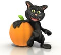 Cat leaning on a pumpkin