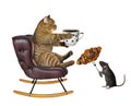 Cat in leather rocking chair drink coffee Royalty Free Stock Photo